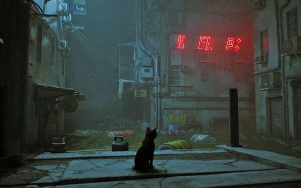 Stray Download