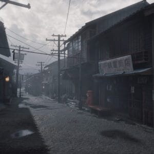 Silent Hill f PC Konto Współdzielone Offline Deluxe Edition - obrazek 3